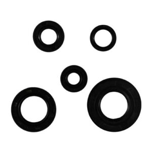 JUEGO DE RETENES DE MOTOR YAMAHA FZ16 '20