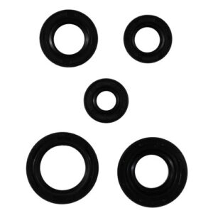 JUEGO DE RETENES DE MOTOR BAJAJ PULSAR 150