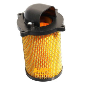 FILTRO DE AIRE ITALIKA DM150