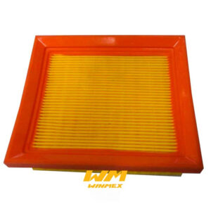 FILTRO DE AIRE ITALIKA DM200