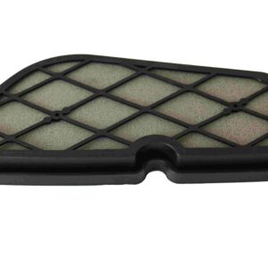 FILTRO DE AIRE ITALIKA D125, VITALIA 125 '19, X125