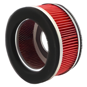 FILTRO DE AIRE ITALIKA DS150