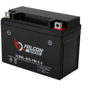 BATERIA GEL YB6L / ICB6L-B (6-FM-6.5)