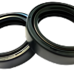 JUEGO DE RETENES DE HORQUILLA (SUSPENSION) ITALIKA EX200, 33x46x11