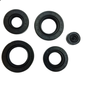 JUEGO DE RETENES DE MOTOR ITALIKA FT125, CG125, EX200, RT180 (5 PZAS)