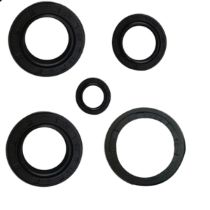 JUEGO DE RETENES DE MOTOR CH150, 12x20x5, 20x32x7, 25X408, 27x42x7, 34x41x4 (5 PZAS)