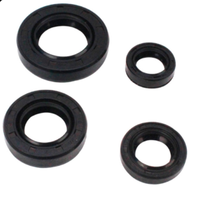 JUEGO DE RETENES DE MOTOR HONDA CARGO 150 (4 PZAS)