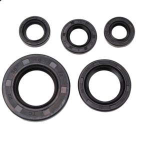 JUEGO DE RETENES DE MOTOR YAMAHA FZ16 (5 PZAS)