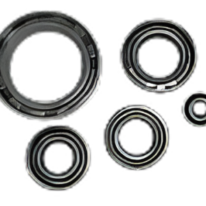 JUEGO DE RETENES DE MOTOR ITALIKA FT150, FT150 GT