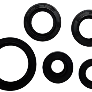 JUEGO DE RETENES DE MOTOR ITALIKA AT110