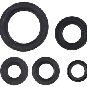 JUEGO DE RETENES DE MOTOR ITALIKA FT125