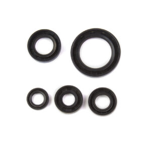 JUEGO DE RETENES DE MOTOR ITALIKA FT150 08-09