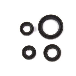 JUEGO DE RETENES DE MOTOR ITALIKA FT125 (4 PZAS)