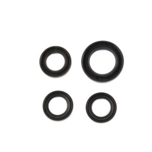 JUEGO DE RETENES DE MOTOR ITALIKA CS125, DS125 (4 PZAS)