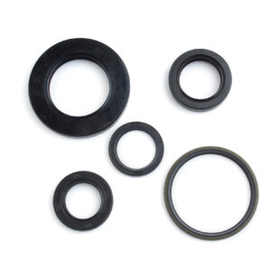 JUEGO DE RETENES DE MOTOR ITALIKA BWS125