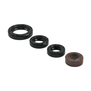 JUEGO DE RETENES DE MOTOR (4 PZAS) PARA BAJAJ PULSAR N250 (2021-2026)